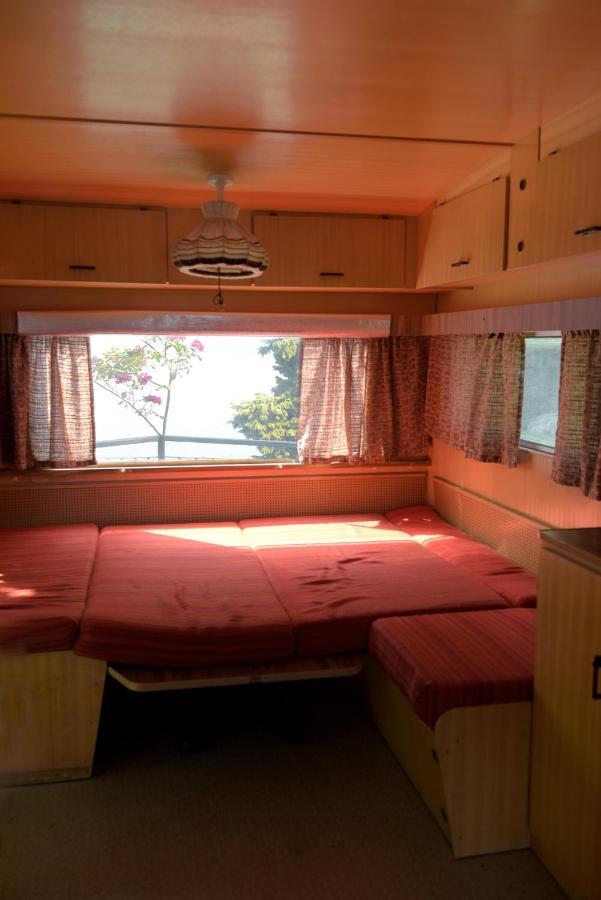 מאלצ'סינה Camping Alpino - Nature Village מראה חיצוני תמונה