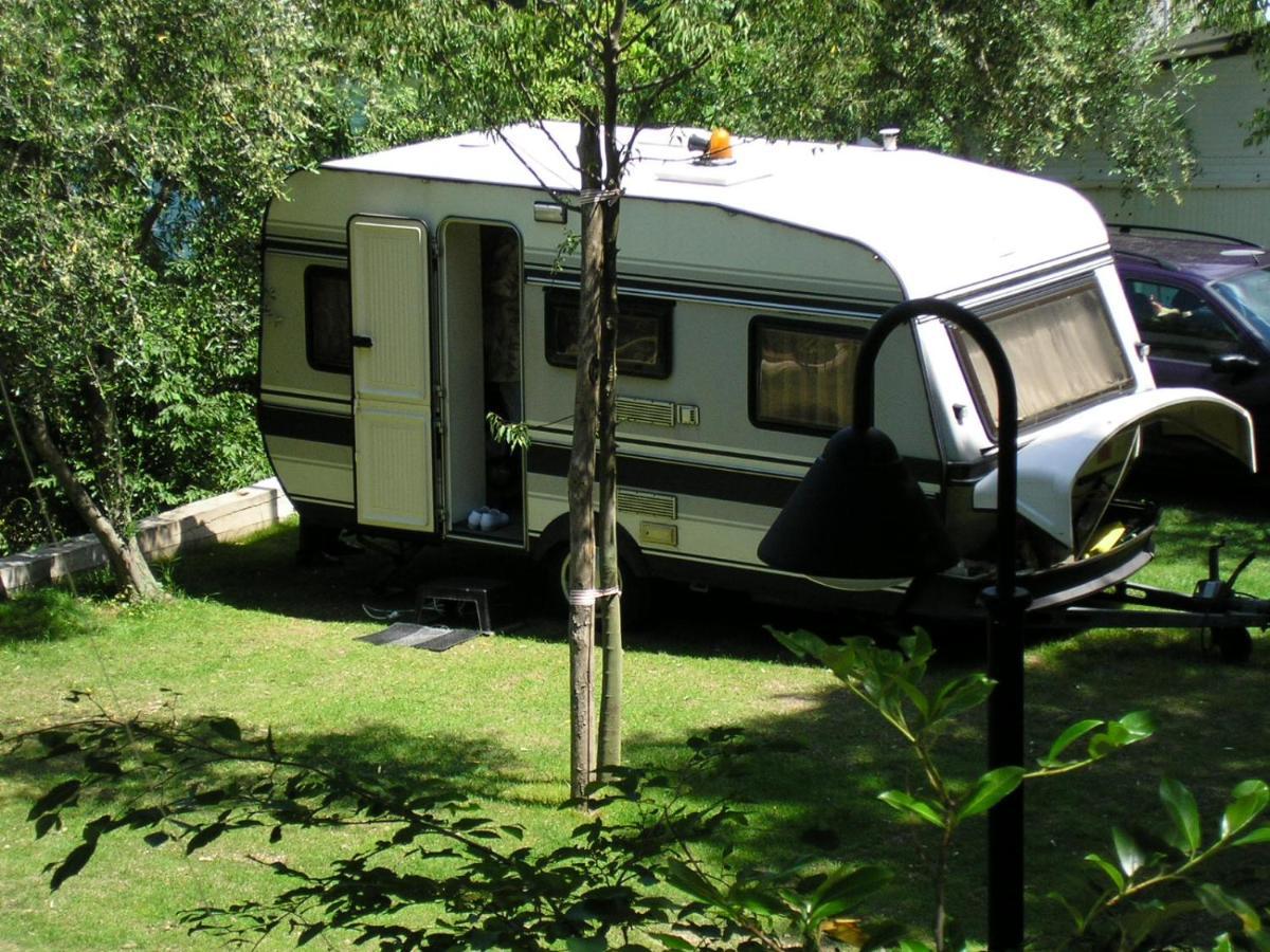 מאלצ'סינה Camping Alpino - Nature Village מראה חיצוני תמונה